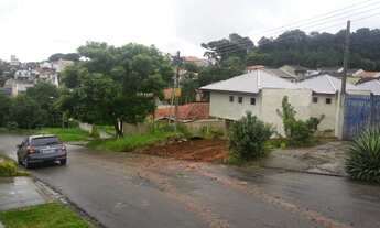 Imagem 5: Lote/Terreno 10 x 50 para venda possui 500 metros quadrados em Tingui - Curitiba - PR