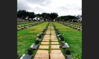 Imagem 3: Vendo jazigo cemitério caminho das palmeiras