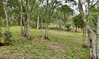 Imagem 4: Chácara 1 alqueire, 24.200m², acesso a cachoeira e acesso direto da rodovia - vista linda