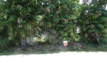 Imagem 4: Terreno, Praia da Lagoinha, Ubatuba - R$ 500 mil, Cod: 535