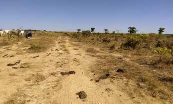 Imagem 4: Fazenda 174 Alqueires, Formosa, GO