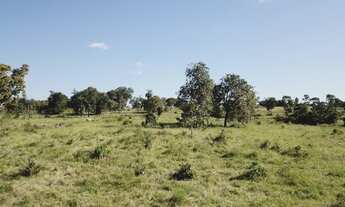 Imagem 7: Fazenda com 117 alqueires Região de Goiás Velho - GOIÁS