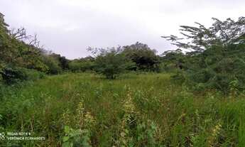 Imagem: Terreno com 5000 m² em Aldeia, Camaragibe