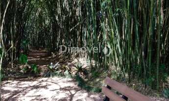 Imagem 6: PORTO ALEGRE - Terreno Padrão - TERRAVILLE