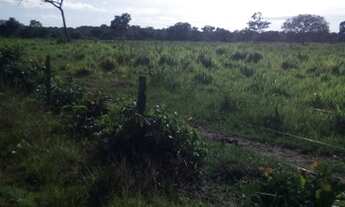 Imagem 3: Fazenda 60 alqueires