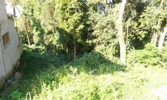 Imagem 6: Terreno para Venda em Quatro Barras, Jardim Orestes Thá