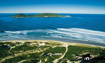 Imagem 5: FLORIANÓPOLIS - Terreno Padrão - RIO TAVARES