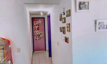 Imagem 5: Apartamento, 3 quartos Recreio dos Bandeirantes