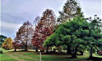 Imagem 5: Chácara com 3 dormitórios à venda, 90000 m² por R$ 749.000,00 - Neópolis - Gravataí/RS