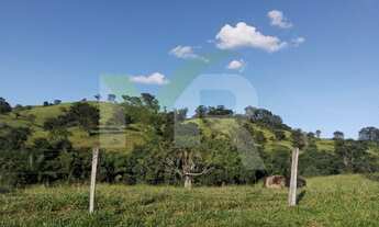 Imagem 6: 40 Alqueires em Burito Alegre GO