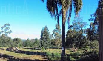 Imagem: Caxias Do Sul - Terreno Padrão - Santa