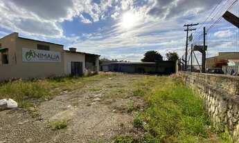 Imagem 3: Vende - Terreno na Vila Fiori, 741 metros, esquina