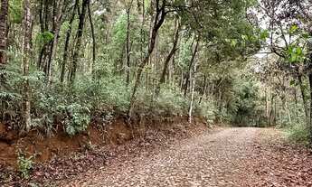 Imagem 5: Terreno à venda, Pasárgada, Nova Lima, Minas Gerais