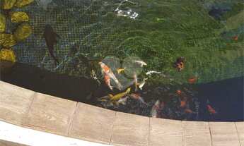 Imagem 5: Casa Alto Padrão Vila Oliveira - Mogi das Cruzes - 04 Suítes - 10 Vagas