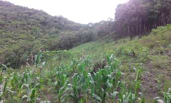 Imagem 6: Sítio em Segunda linha - Águas Mornas, SC