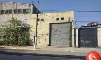 Imagem: São Paulo - Galpão/Depósito/Armazém