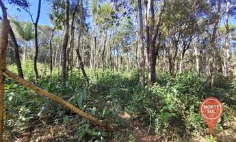 Imagem 7: Terreno à venda, 2000 m² por R$ 130.000 - Retiro do Brumado - Brumadinho/Minas Gerais