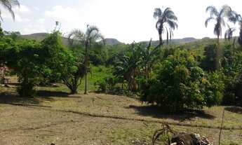 Imagem 4: Chácara 12 Alqueires - Santo Antonio do Desc GO