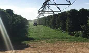 Imagem 2: Fazenda - Luiz Eduardo Magalhães(BA