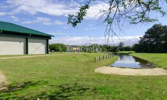 Imagem 7: PORTO ALEGRE - Terreno Padrão - TERRAVILLE