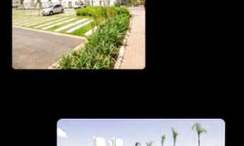 Imagem: Lindo apt 2 dorm