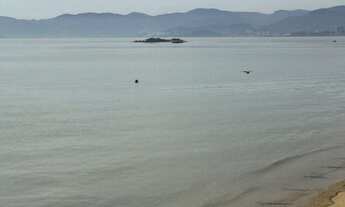 Imagem: CASA RESIDENCIAL em FLORIANÓPOLIS - SC