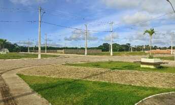 Imagem 3: Loteamento em Marechal Deodoro