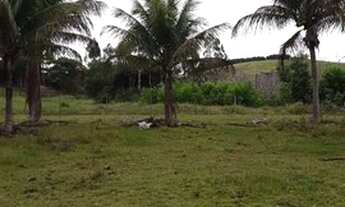 Imagem 5: Vendo Sítio em Aracruz