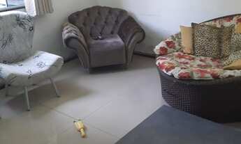 Imagem 3: Excelente casa de condomínio para venda na Taquara