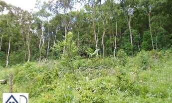 Imagem 6: Terreno para Venda em Nova Friburgo, MURY, 99 vagas