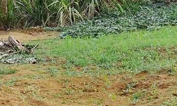 Imagem 4: VENDO CHACARA Chácara com venda por R$70.000