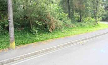 Imagem 3: Terreno para Venda em Quatro Barras, Jardim Orestes Thá