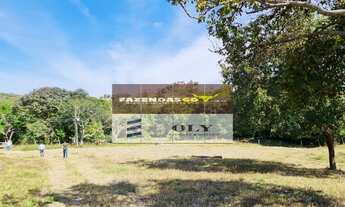 Imagem 2: Fazenda de Oportunidade - São 14 Alqueires ! Região de Goianésia-GO !