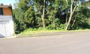 Imagem 3: Terreno para Venda em Quatro Barras, Jardim Orestes Thá