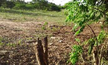 Imagem: Lote/Terreno com 11.000 mil metros de terreno