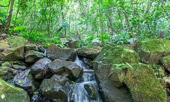 Imagem 6: Chácara à Venda em Novo Hamburgo