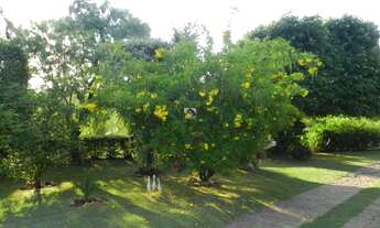 Imagem 6: Chácara - Vale Verde - Valinhos