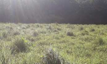 Imagem 5: VENDO SITIO Chácara com venda por R$350.000