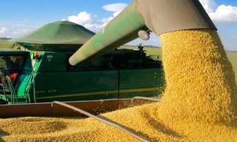 Imagem 4: MM - Fazenda Cultura Mista