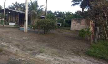 Imagem 6: Pequeno sítio na vila barauana