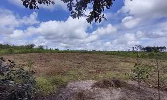 Imagem 7: R$ 300 mil reais 120 hectares em Magalhães Barata Pará