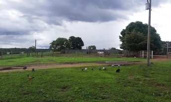 Imagem 11: . Uma Fazenda 110 alqueires 67 km de Porto Nacional