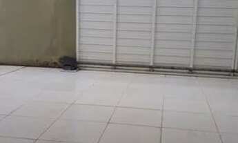 Imagem 6: Alugo casa no Araçagy