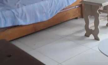 Imagem 5: Térrea para aluguel possui com bom espaço para seu PET brincar