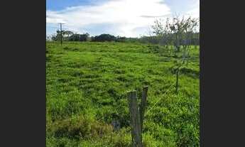 Imagem 6: Fazenda histórica + 100 anos de atividades