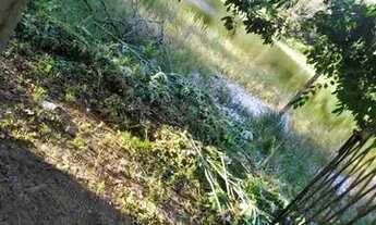 Imagem 5: Terreno no loteamento Santa Cecília