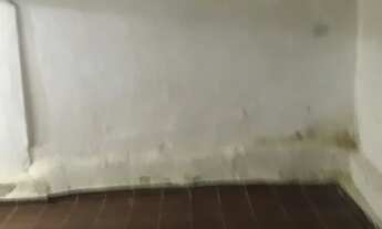 Imagem 7: Alugo uma casa Casa com 1 dormitório