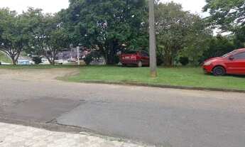 Imagem 4: Casa com amplo terreno