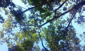 Imagem: Vendo chácara em guaratuba