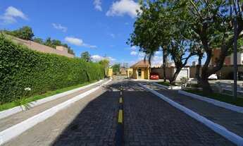 Imagem 7: PELOTAS - Apartamento Padrão - Centro